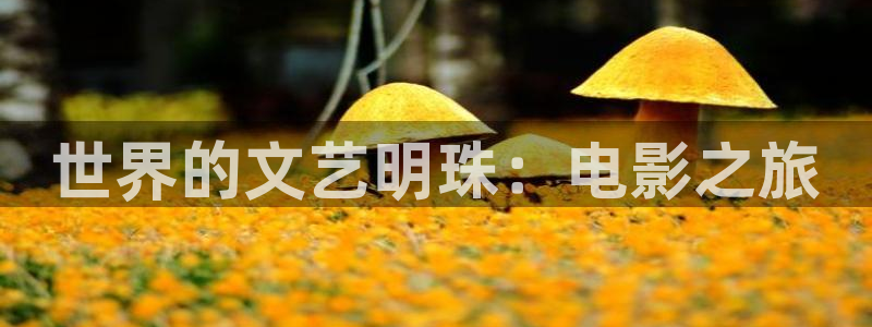 国产av午夜精品