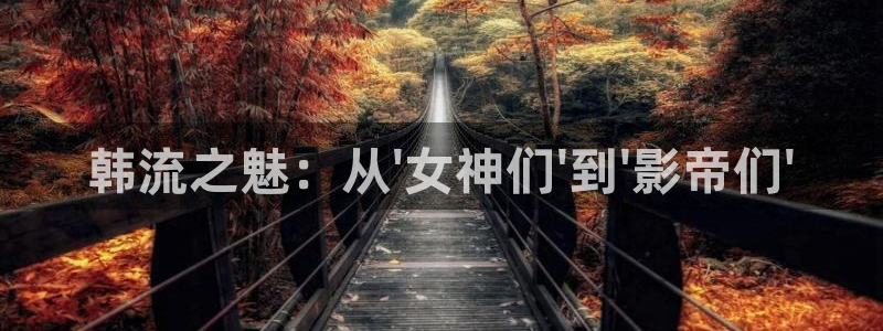 神马影院午夜伦