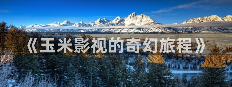 毛片午夜影院
