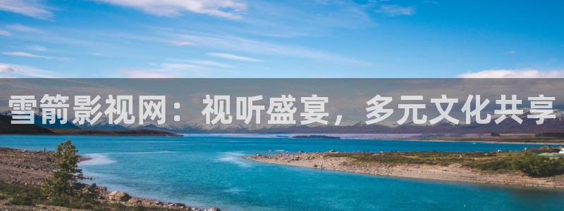 国产成人午夜在线观看