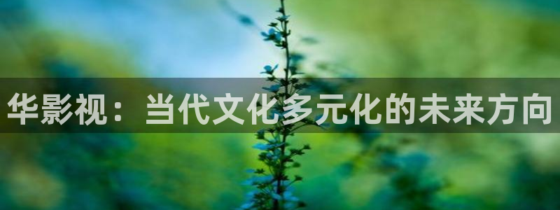 神马午夜伦理影院在线观看