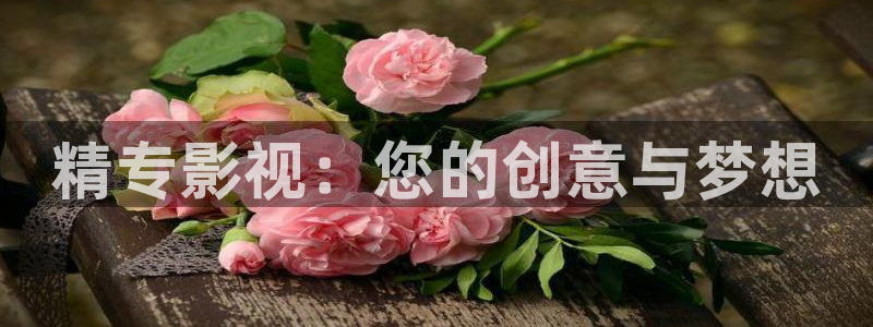 午夜被窝电影网
