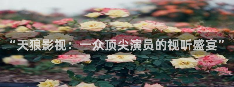 午夜免费a级片