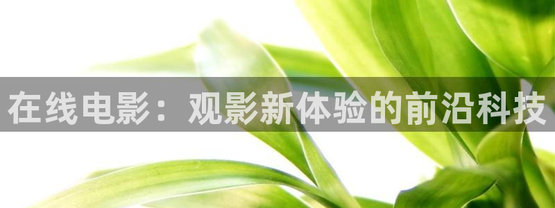 男人午夜在线免费观看