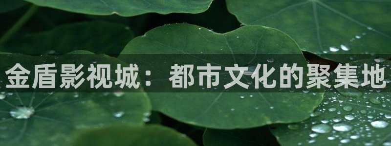 午夜免费av网